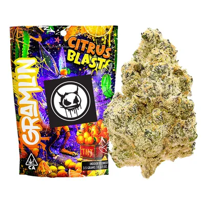 Gramlin Citrus Blast  Sativa Exotic Indoor scale 3.5 g 35.41% THC