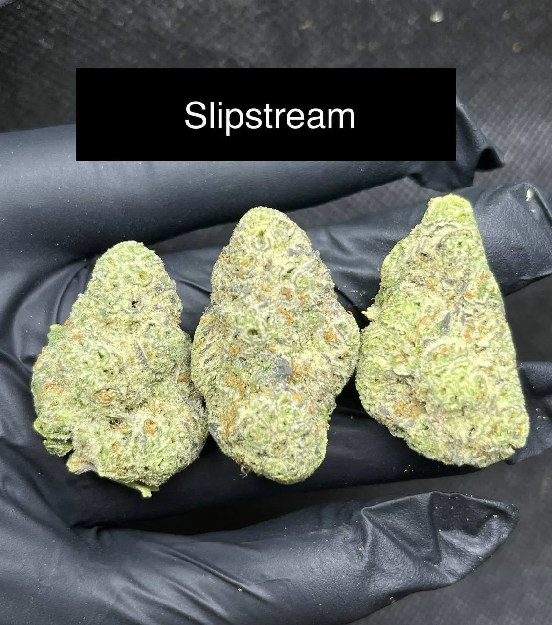 slipstream-strain.webp