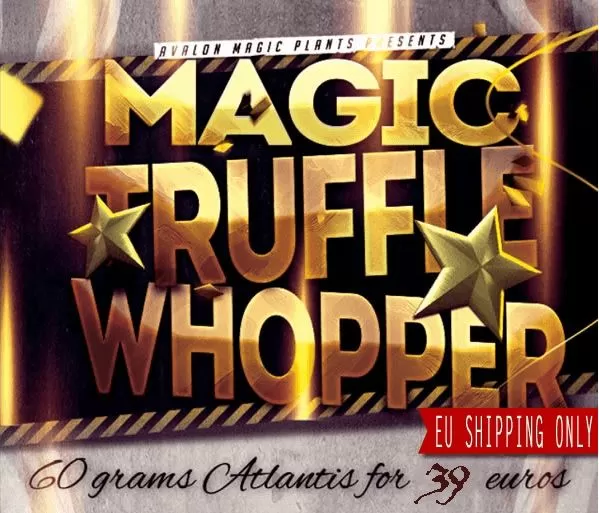 truffle-whopper.webp